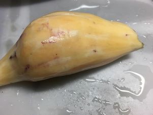 f:id:machiko-e-stainedglass:20211119072136j:plain