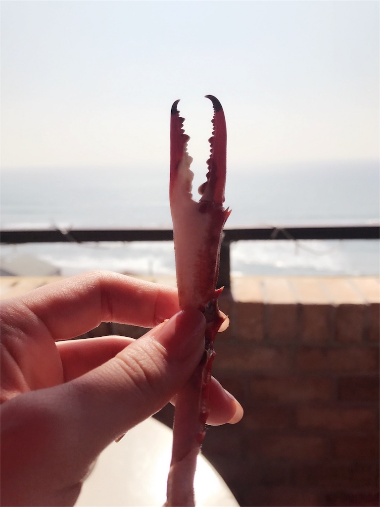f:id:machiko_zipangu:20190221122348j:image