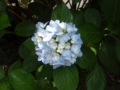 20110614150947