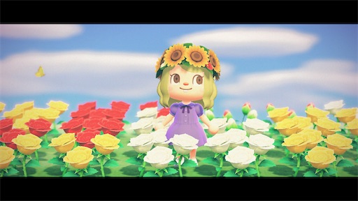 f:id:machikomind:20200621220114j:image f:id:machikomind:20200621220114j:image