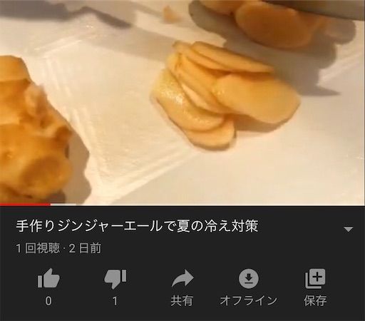 動画あり 新生姜でジンジャーエールを手作り 猫好きダイアリー