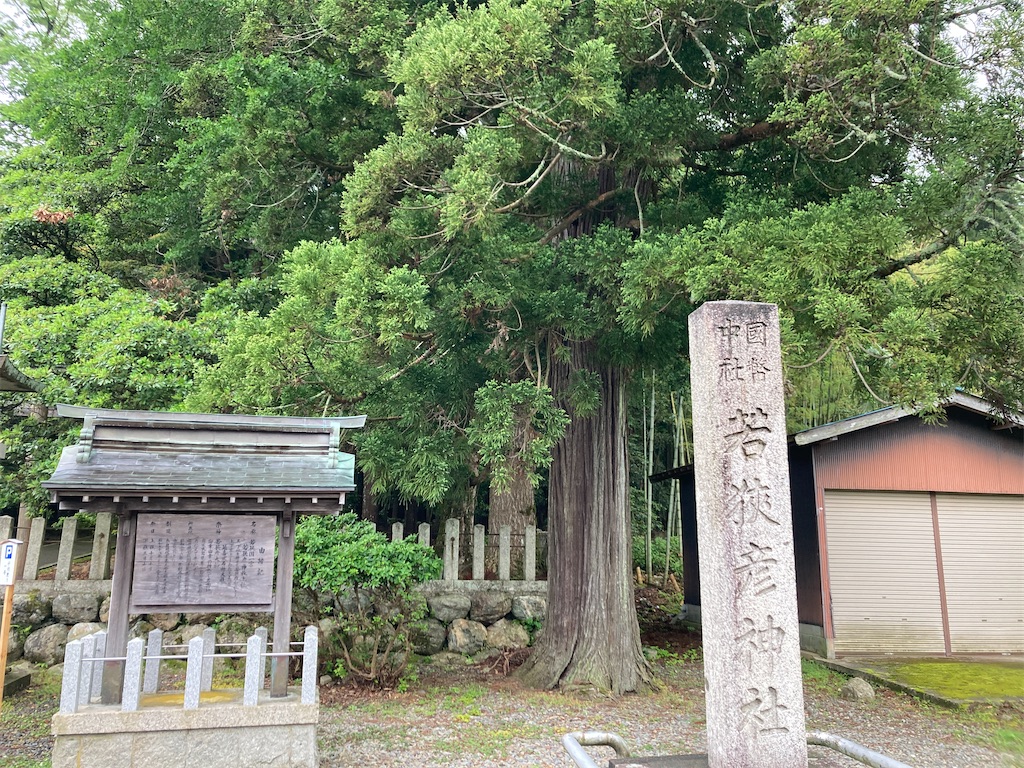 f:id:machinemako:20260528032717j:image f:id:machinemako:20260528032717j:image