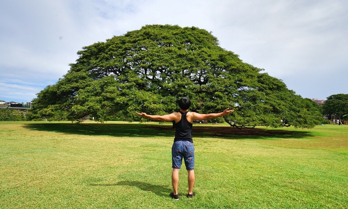 f:id:machitive:20190611223224j:plain