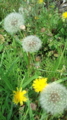 f:id:machiyu_ki:20110424120401j:image:medium