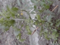 f:id:machiyu_ki:20110522120635j:image:medium