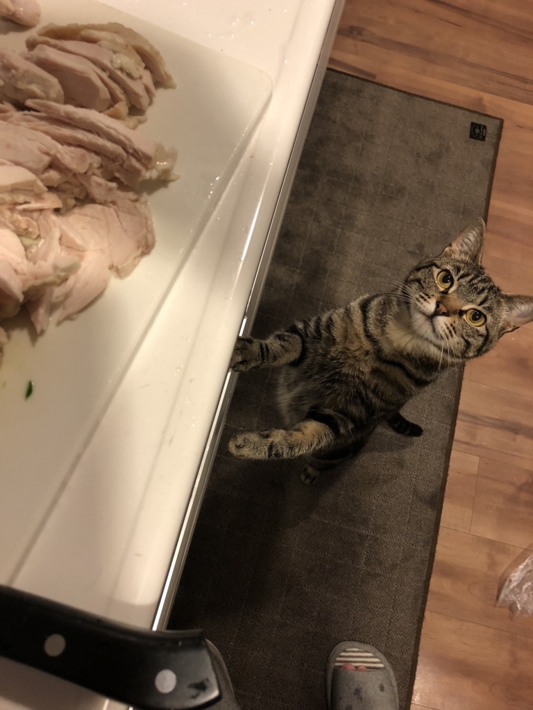 f:id:mackereltabby:20180528224909j:plain f:id:mackereltabby:20180528224909j:plain