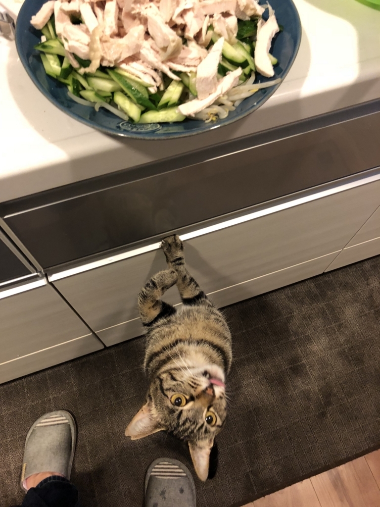 f:id:mackereltabby:20180528230200j:plain f:id:mackereltabby:20180528230200j:plain