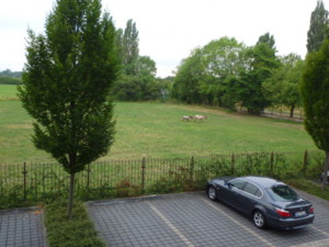 f:id:macky10kunitomogs:20100722130722j:image f:id:macky10kunitomogs:20100722130722j:image