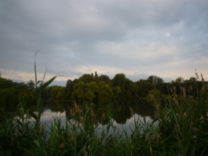 f:id:macky10kunitomogs:20100722132922j:image f:id:macky10kunitomogs:20100722132922j:image
