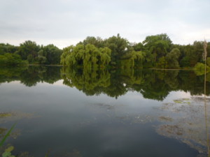 f:id:macky10kunitomogs:20100722133103j:image f:id:macky10kunitomogs:20100722133103j:image