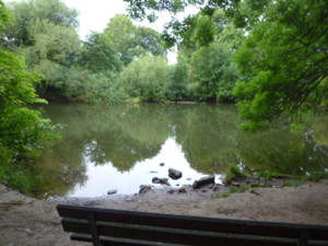 f:id:macky10kunitomogs:20100722134110j:image f:id:macky10kunitomogs:20100722134110j:image