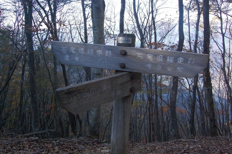 画像を等倍で表示します 画像