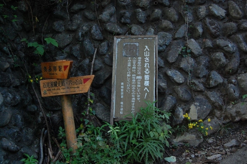 画像を等倍で表示します 画像