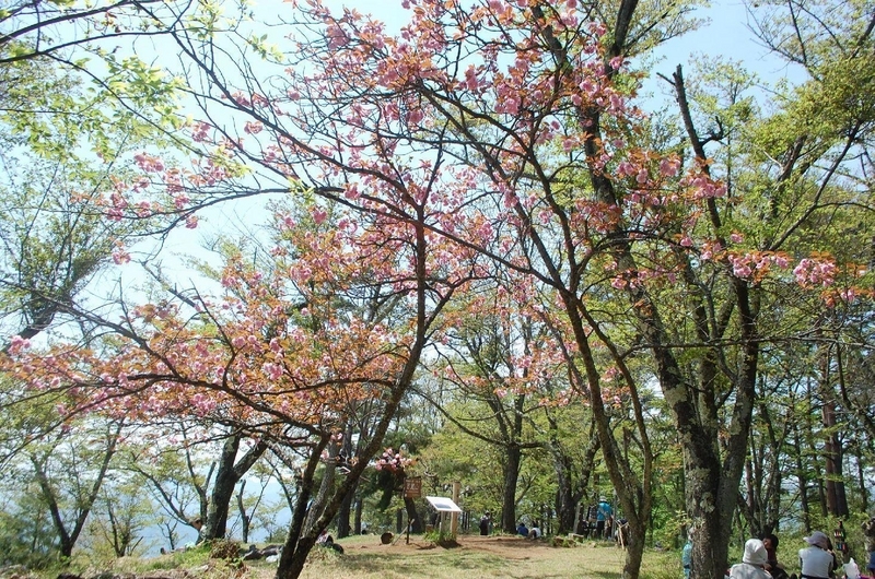 画像を等倍で表示します 画像