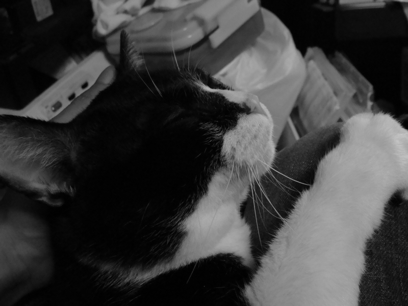 f:id:macnaruhodo:20090914003944j:image:w360