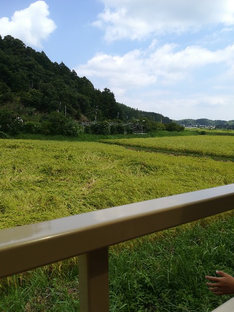 f:id:macomot:20190826124115j:image f:id:macomot:20190826124115j:image
