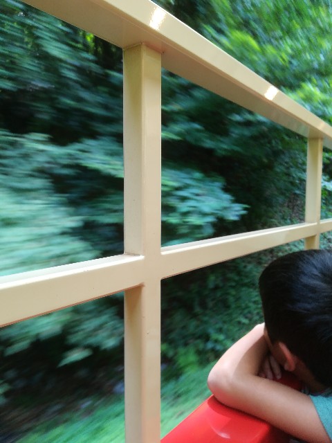 f:id:macomot:20190826124321j:image f:id:macomot:20190826124321j:image