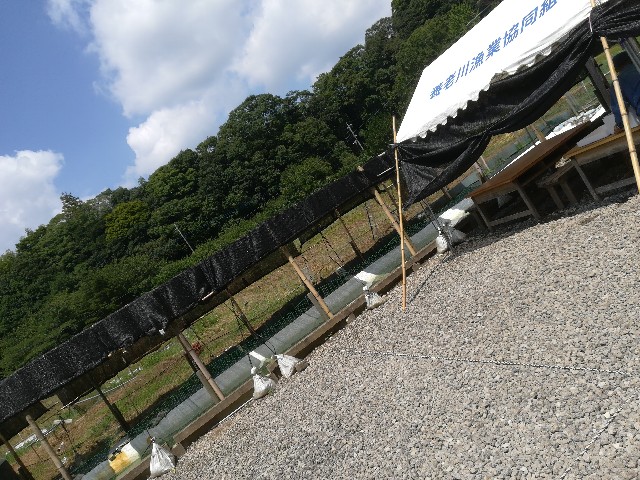 f:id:macomot:20190826180856j:image f:id:macomot:20190826180856j:image