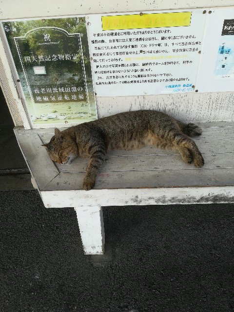 f:id:macomot:20190827075421j:image f:id:macomot:20190827075421j:image
