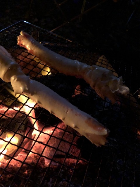 f:id:macomot:20191203081712j:image