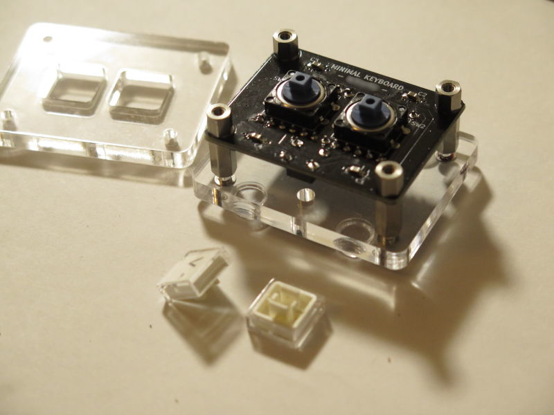 f:id:macrochelys99:20190529033545p:plain f:id:macrochelys99:20190529033545p:plain