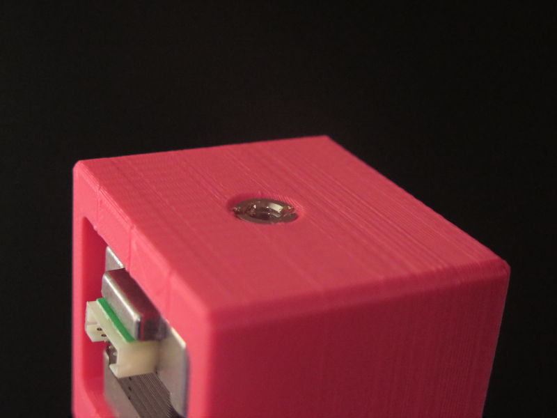 f:id:macrochelys99:20190719023658j:plain f:id:macrochelys99:20190719023658j:plain