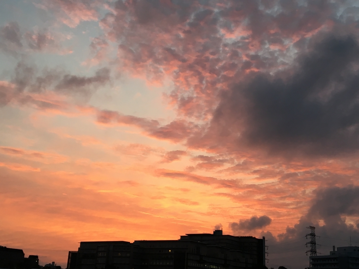 f:id:macromoai:20200531042211j:plain
