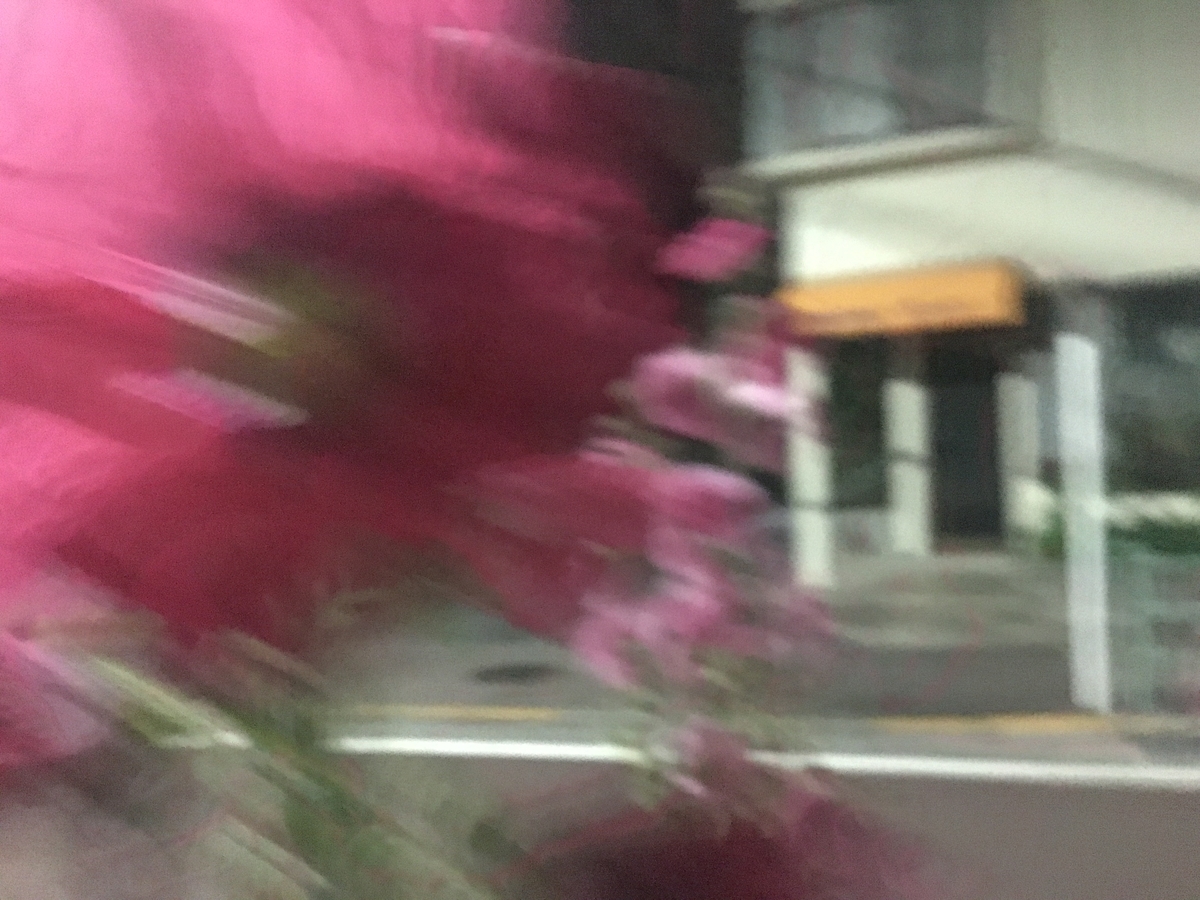 f:id:macromoai:20200603001400j:plain f:id:macromoai:20200603001400j:plain