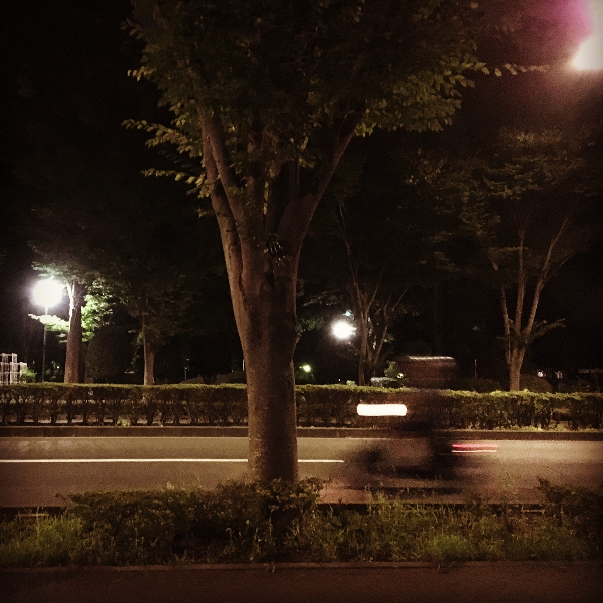 f:id:macromoai:20200721194953j:plain f:id:macromoai:20200721194953j:plain