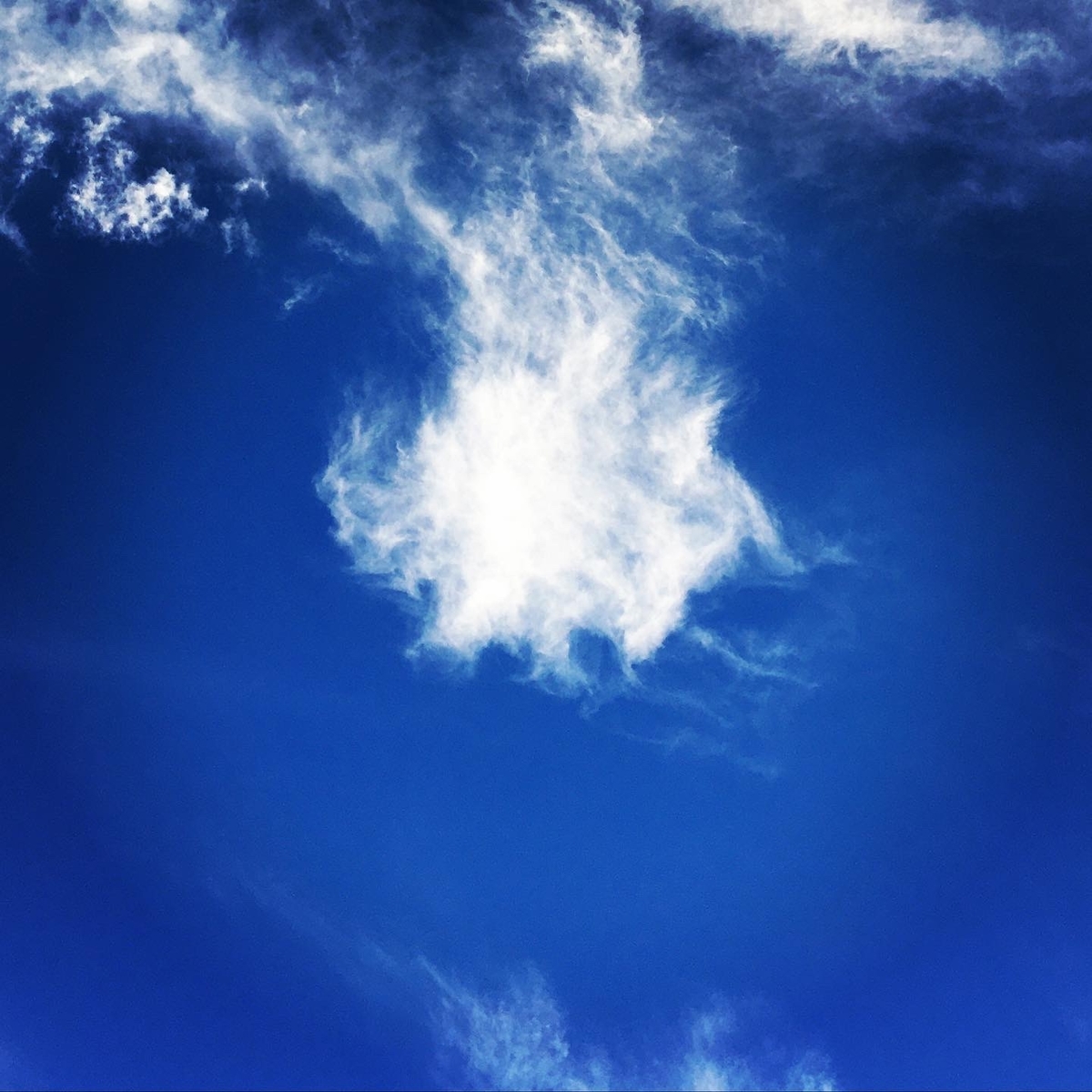 f:id:macromoai:20210113230251j:plain