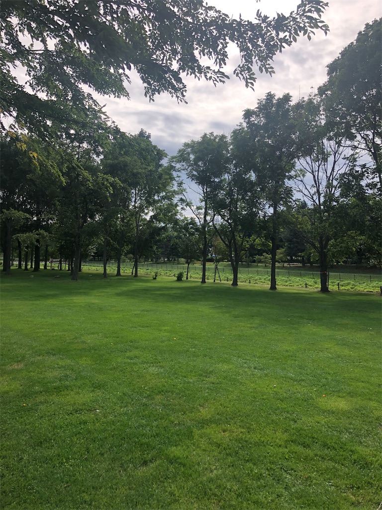 f:id:macsyouken:20190822033053j:image