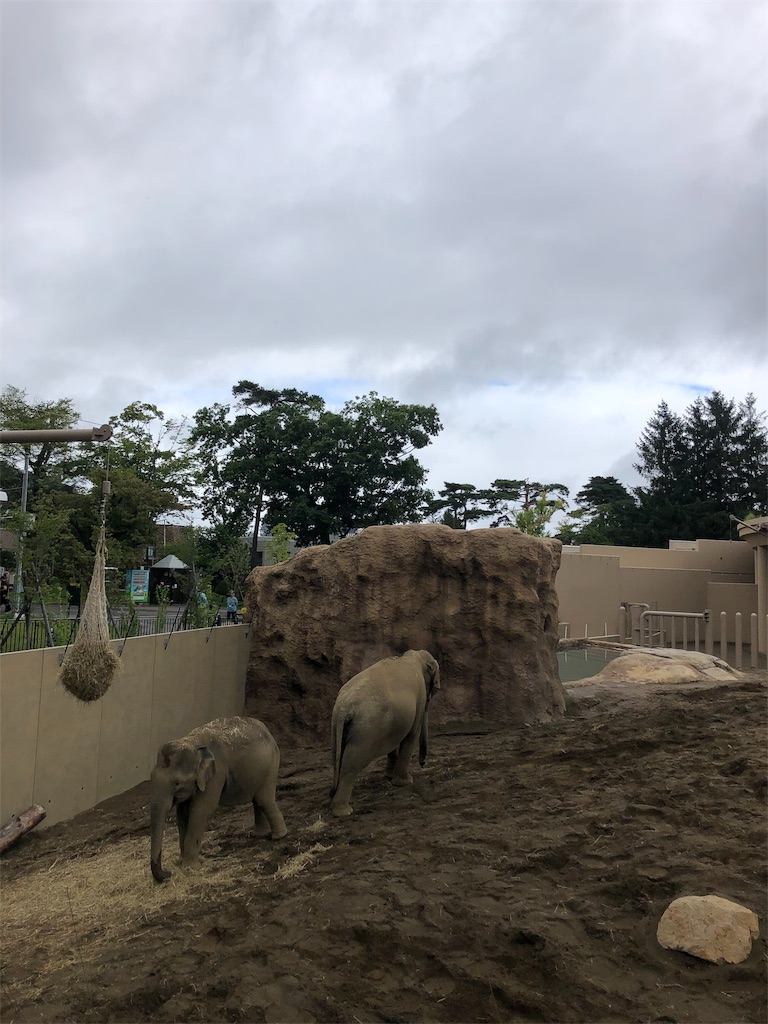 f:id:macsyouken:20190824105840j:image