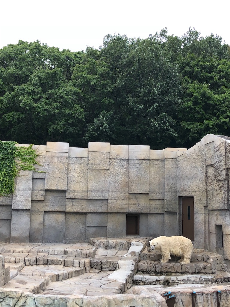 f:id:macsyouken:20190824105907j:image