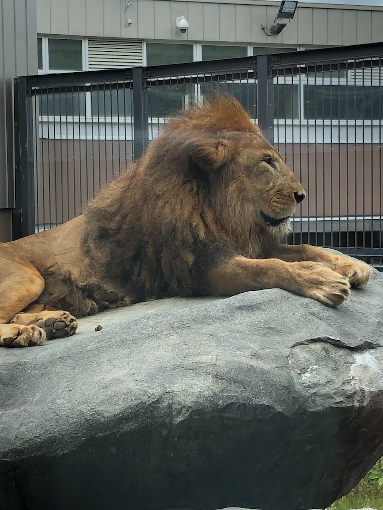 f:id:macsyouken:20190824105921j:image