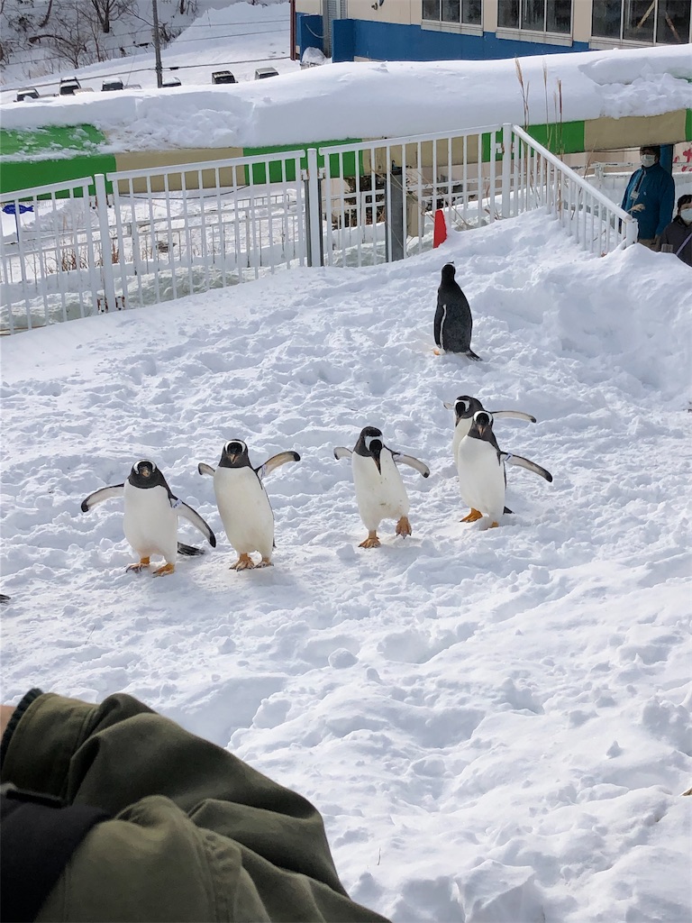 f:id:macsyouken:20211229115643j:image