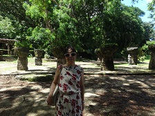 f:id:macuea:20201214105423j:plain