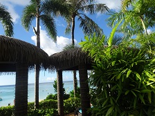 f:id:macuea:20201214110623j:plain