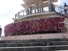 f:id:macuea:20201214131111j:plain