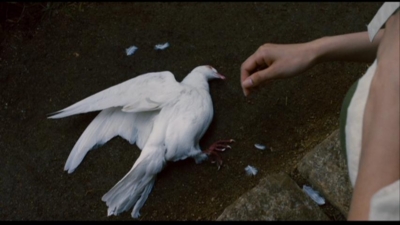 f:id:mad_zilch:20120316021459j:image f:id:mad_zilch:20120316021459j:image