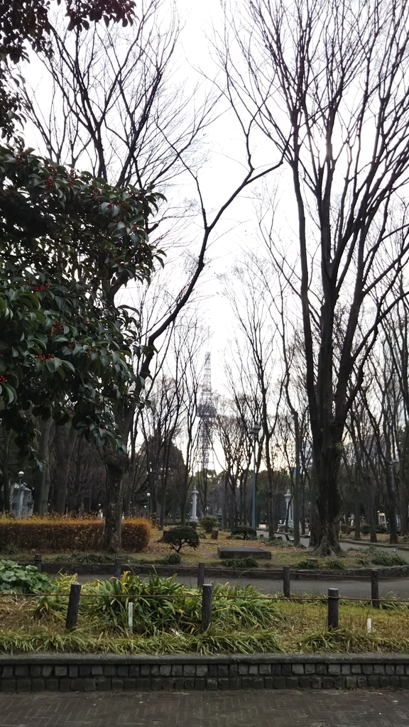 f:id:madabestfriends:20190109104537j:plain f:id:madabestfriends:20190109104537j:plain