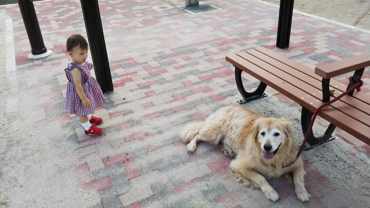 f:id:madabestfriends:20190321101845j:plain f:id:madabestfriends:20190321101845j:plain