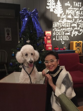 f:id:madam-cricket:20151205102243j:image