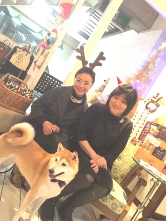 f:id:madam-cricket:20151205104257j:image