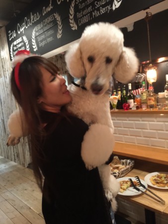 f:id:madam-cricket:20151205105233j:image