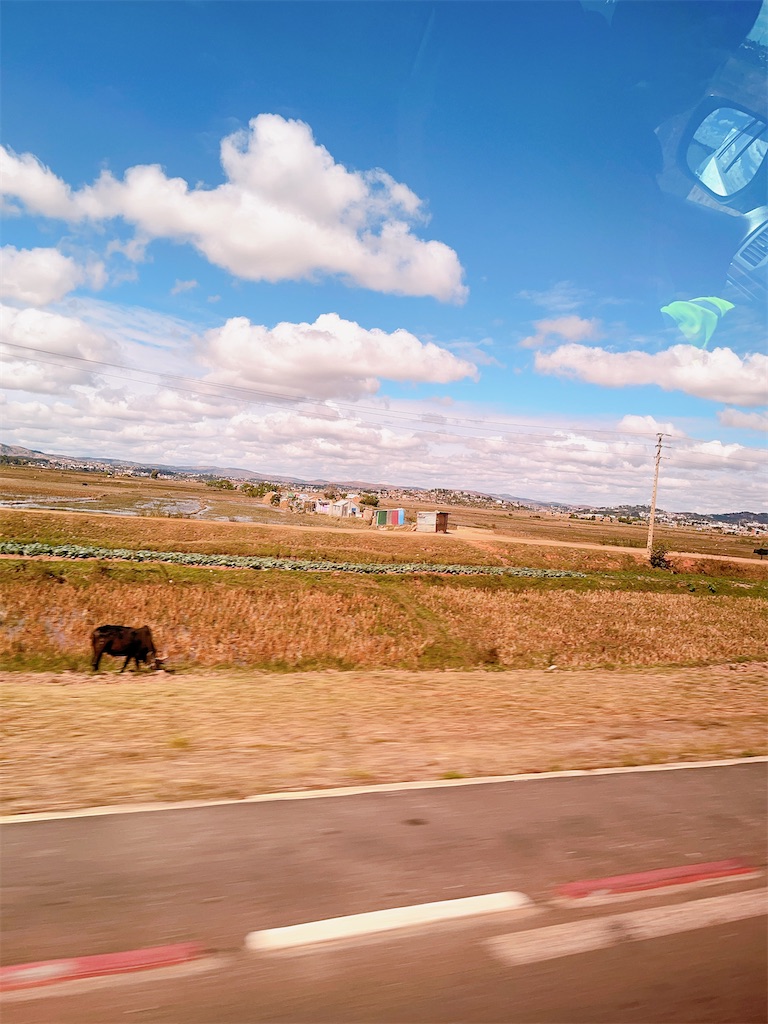 f:id:madamaki07:20250628044826j:image