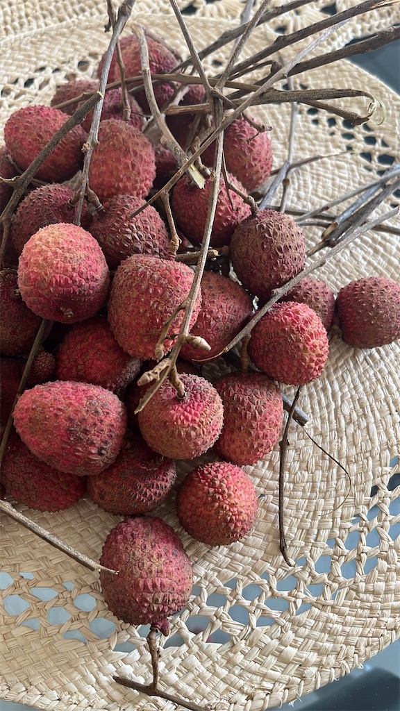 f:id:madamaki07:20250628045310j:image