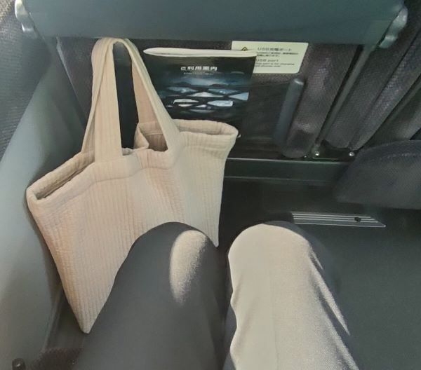 新東名Sライナー新宿4号の座席の荷物掛けに荷物を掛けた状態