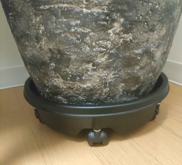 大和プラスチック キャスター付き受け皿のブラックにグレー系の鉢を載せた状態
