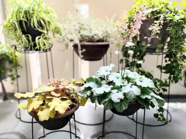 コーナンLIFELEXのプランタースタンドに植えた植物をベランダに並べた状態のアップ