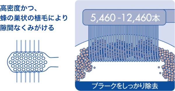 CURAPROXの歯ブラシの植毛数と植毛方法のイラスト